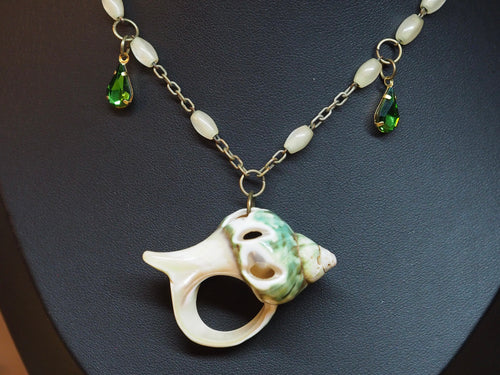 Coquille Turquoise